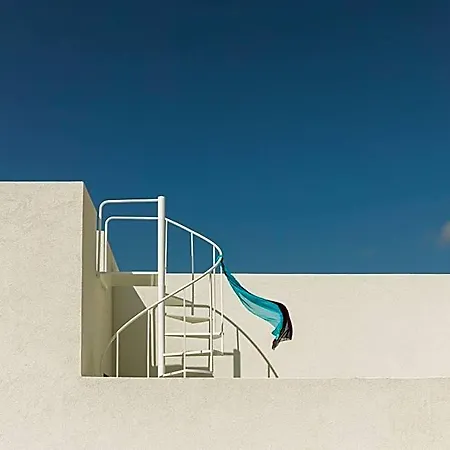 Neo *